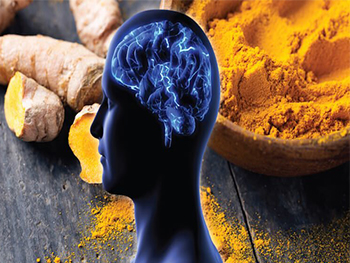 Can Curcumin 95 Powder Effectively Delay and Prevent Brain Nerve Degeneration?